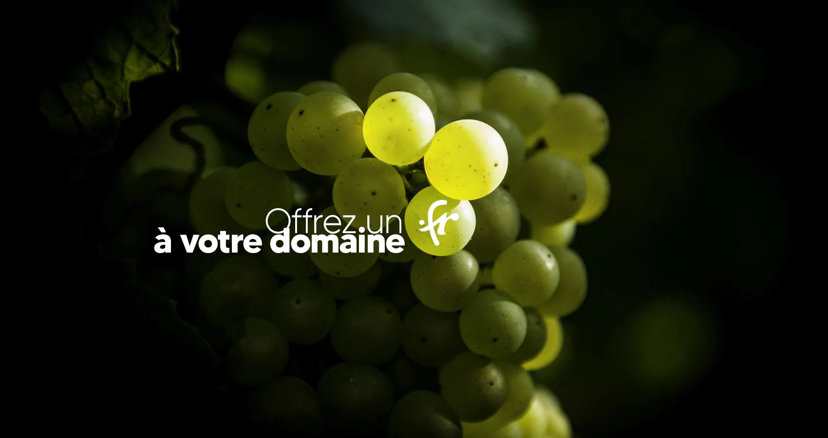 nom de domaine interent .fr DOMAINES INTERNET ABSOMOD bureau enregisterement agréé AFNIC